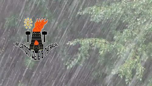 � �����������, 29 ����, �� ���������� ��� �������� ������ � �����