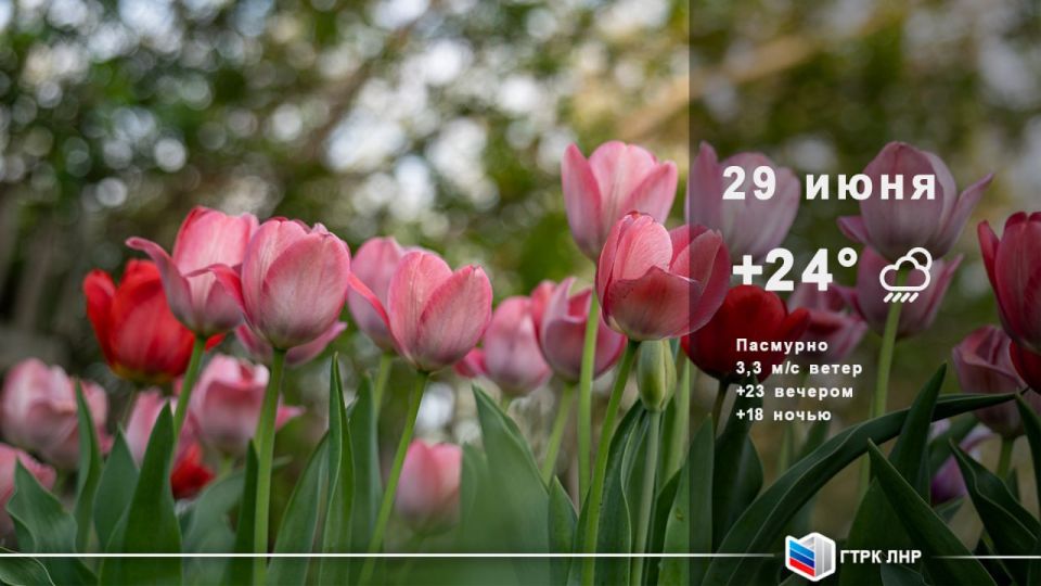 ������ ����, ��������� �������� ����������!