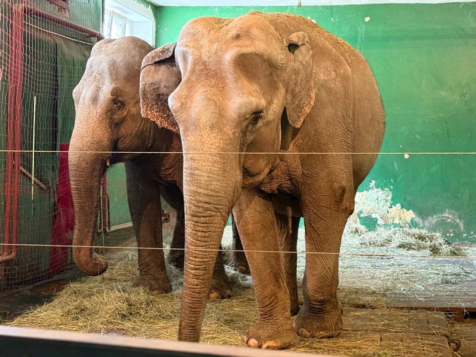 ������������ ����: ����� � ������, ����������� ������ � ��������, � ������: