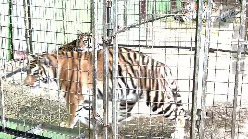 �������� ��������� ������� ������ � ���� �������� ����� ������� ������ ���, ��� �������� � ������, �� �������� �� �������. ����� � ������ ������ � �������, � ���� ���� ����� �������, ��� � ��� ����� �� �������� � �� ����...