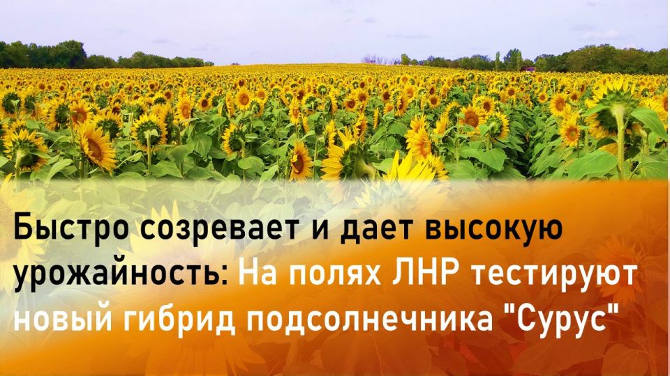 �������� �������� ����������������� ��������� ��������� �������� ���������� �� ��������� ������