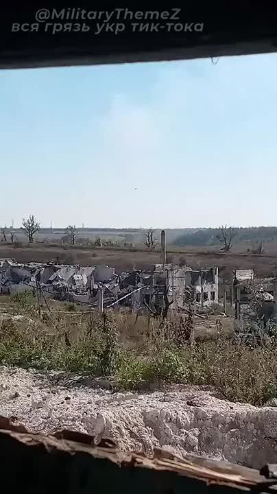 �����. �����������, ��������� �������