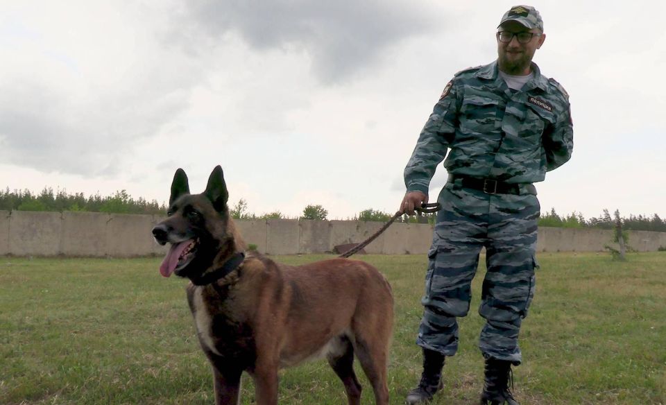 �����������-�������� ��� ��� ������ ������� ������������ ��������� ����� ��������� �������