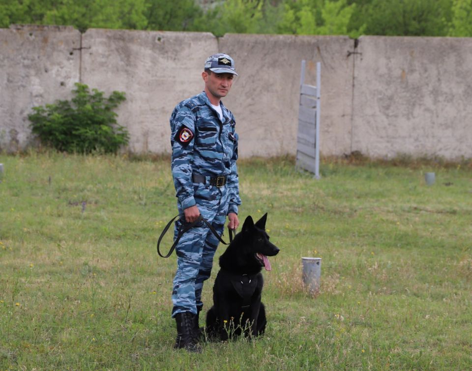 #������������� #�������� #��� #��������