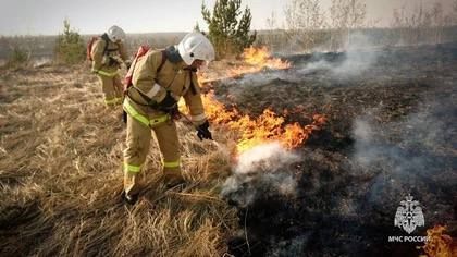 �� ����� � ��� �������� ������� 6,5 �������� ����������