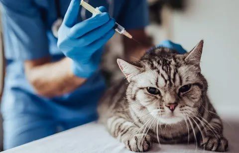 ���������� �������� �������� ����� �����! ���� ������� ����� ���������������� ������������ �����������, ��� �� ������