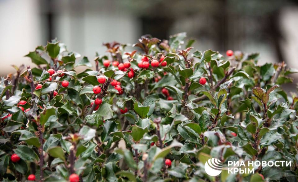 ������ �� ����� ����������� ������