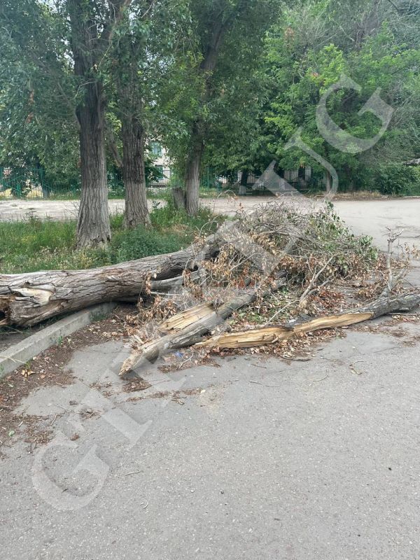 � ������ ����� ���������� �� �������� ������� � 12 ���� �� ������� ��������� ������