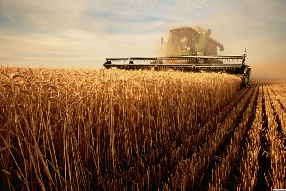 Депутаты Народного Совета рассмотрели и приняли Закон «О развитии сельского хозяйства в Луганской Народной Республике»