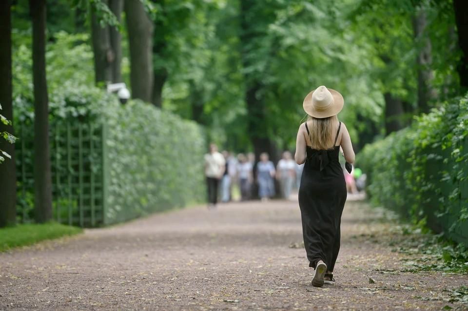 � �������� ��������� �� +31 ������� 4 ����