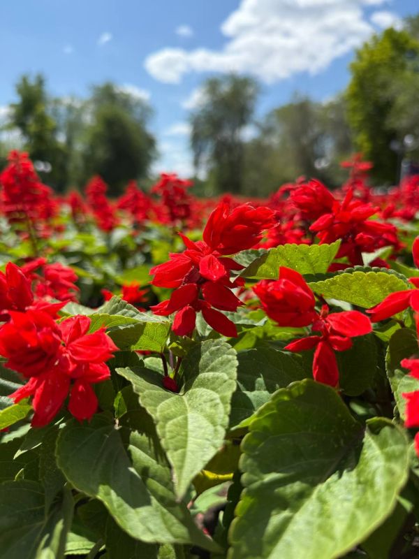 ��� ����� ������� ������ � ��������!