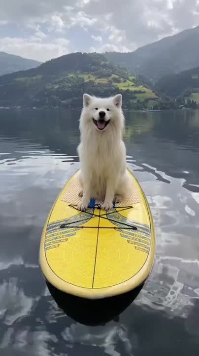 �������� ����� � ���� ���, � �� ��� � ����� �����