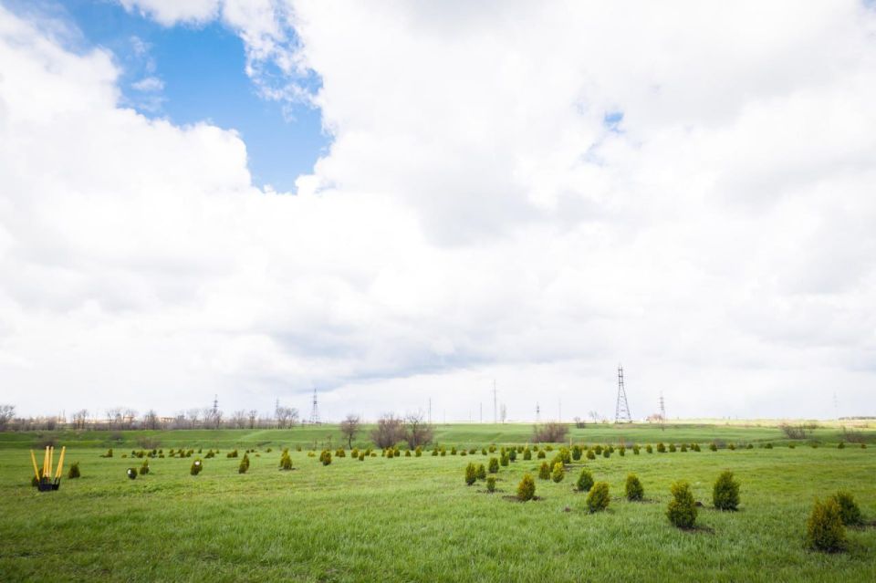 ЛНР вошла в ТОП-10 по количеству локаций высаженных деревьев акции «Сад Памяти»