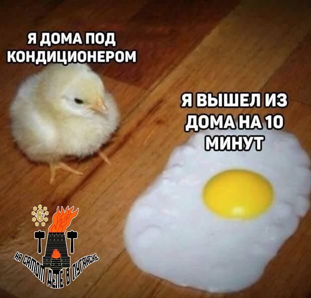 ������� � ��� ����� � �� +35�C