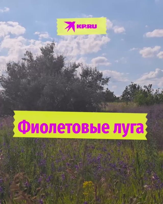 ������� ������ �������. ��� ������ ������� ���� � ���� ������� ��������� ��������� ������ ������������ �� @kp_lnr