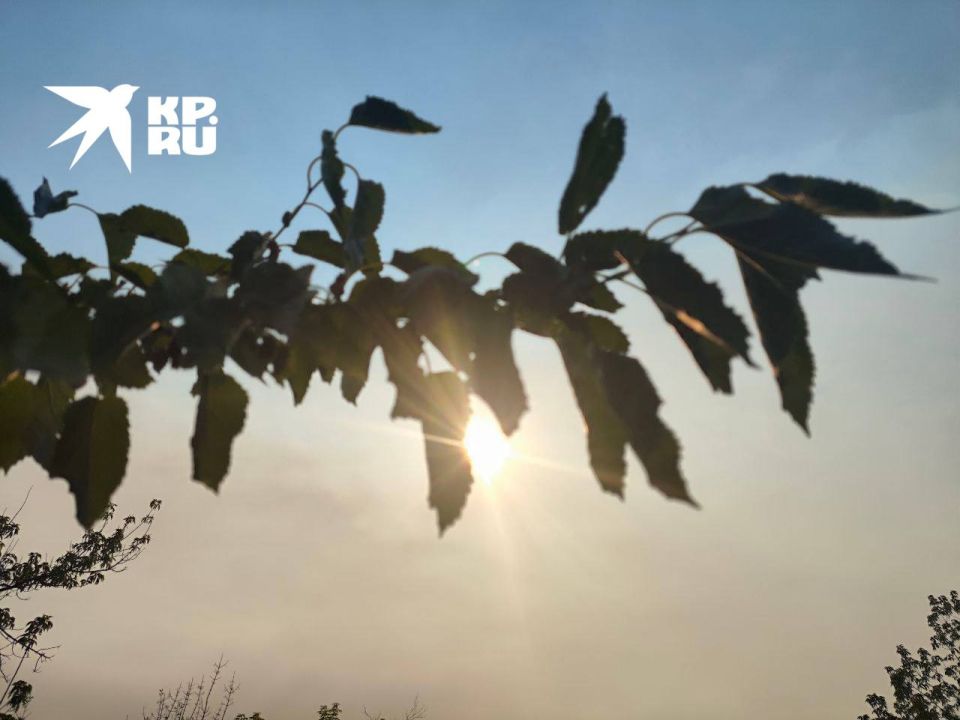 � �������� 8 ���� ����� ����� � ��� �������