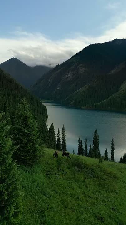 ����� - ��� ������ ��������