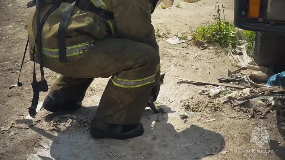 �������� ������ ������ �� ������ � ��������