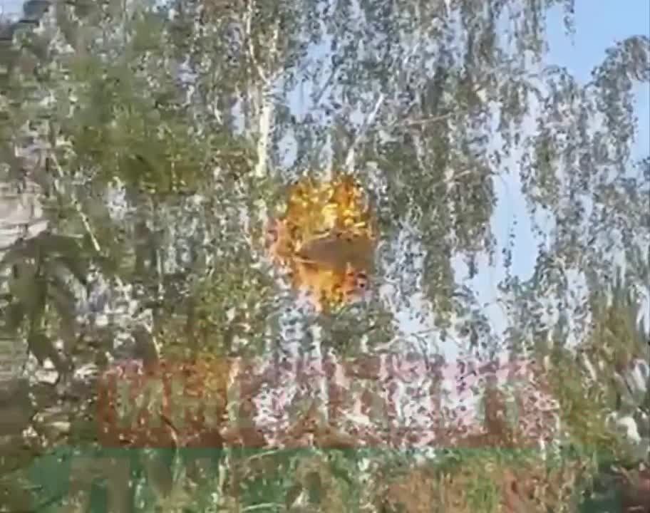 Telegram-������ ��� ����� �������� � ������ ��� � ��������� � ��������: �������� �� ���������� �������������