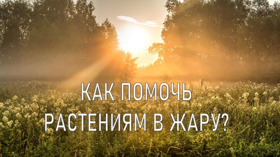 ������� ���� � ���: ��� ������� �������� �� ������ � ��������� �������