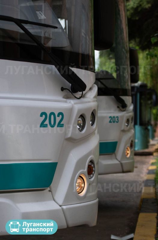 � 10 �� 12 ���� � ��� ��������� ������� ����!