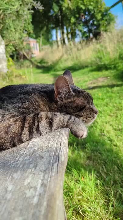 ����� ���������� �� ����������� ����� ������, � ����������� ��������, �� ������� ������������� �������