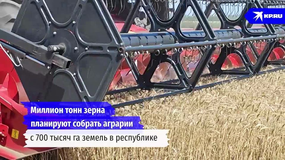 В ЛНР стартовала уборочная кампания 2025