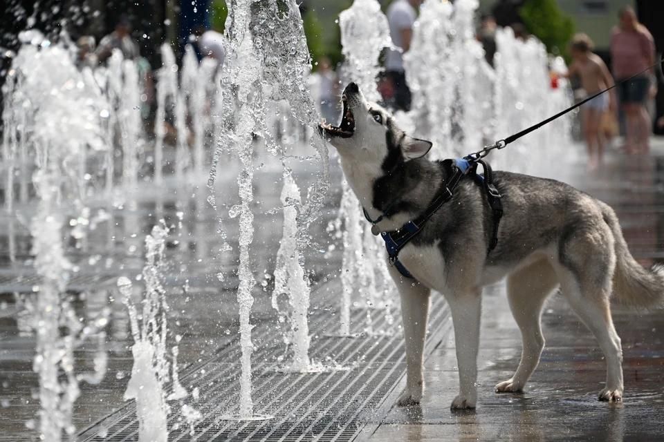 ���� �� +42�C ��������� � �������� 10 ����