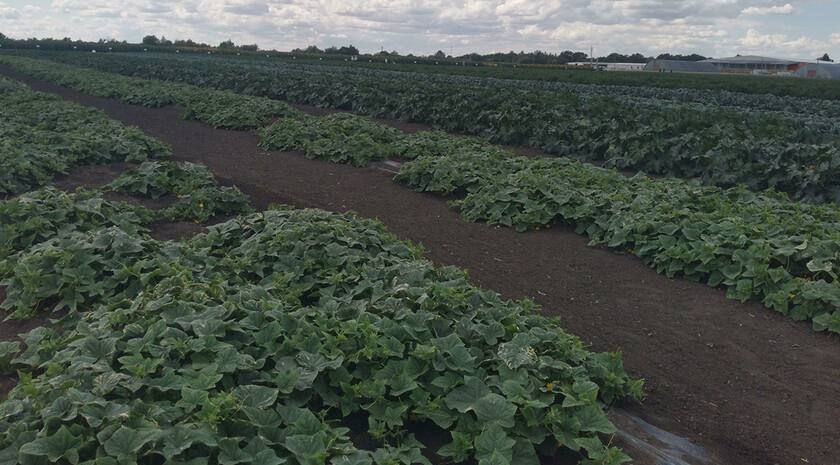 ���� ������� ��� ������� �� ��� ������. ������� ������ � ������� ������ ��� ��� �����, ��� � ��� ��������. ������� ������� ���������� ���������������� ������ ���������� ������� ���������������� ������� ����� ������� �...