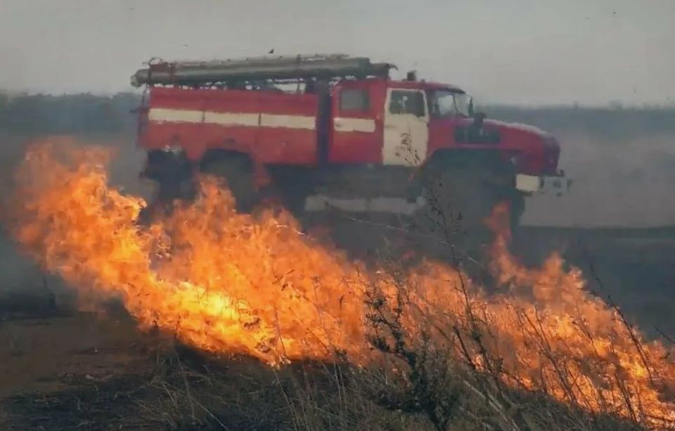 Лесникам и спасателям удалось локализовать пожар на территории Малиновского лесничества в Станично-Луганском районе