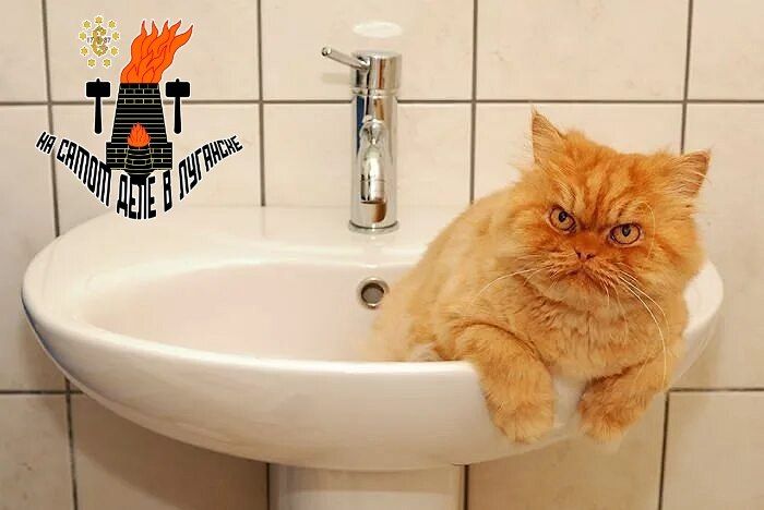 ������ � �������� ��� ���� �� ������