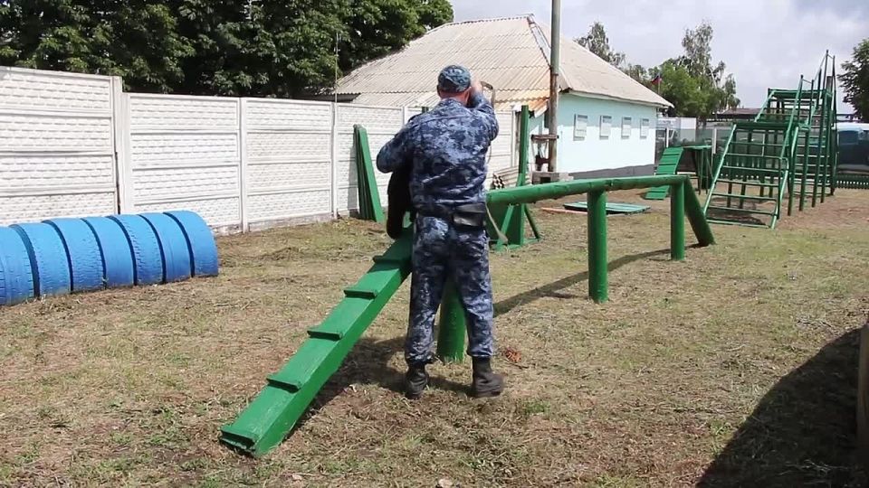 ������������ ��������� ����������� "���������� ����" ������� ������� � �������� ����� �������������� ������� "���������������"