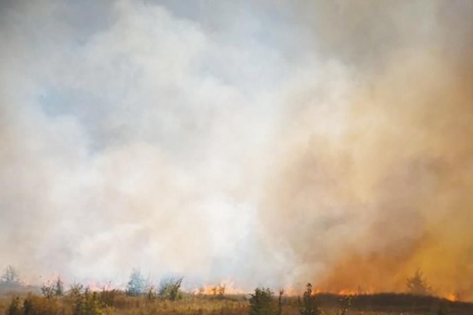 � ��� ���������, ������ ��������-��������� ����� ��� ���� � ����