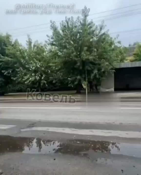 ������� ��������-�����������