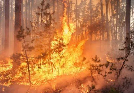 ��� ������ ������ ��������� � ��������-��������� � �������������� �������