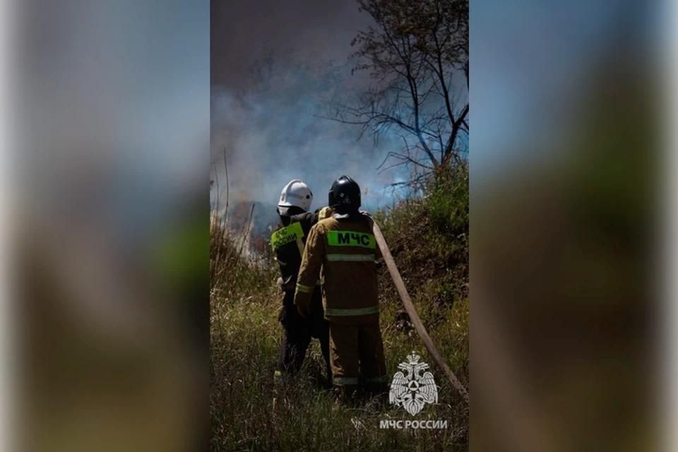 �� ����� � ��� ������� 161 ������ ����������