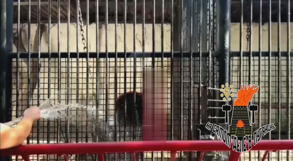 � ����� 1 ��� ������� ����� ���� ������� ������� ����