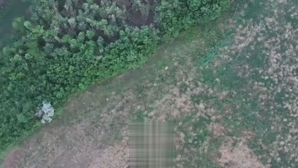 �������� ���� ������������: ���� ����� � ��������� ��� ����� ��������� ����