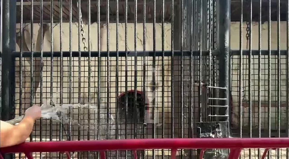 ������� ����� �� ��������� ���������� ����� �������� � ������ ����� 1 ��� ��������� ��������� ��� ����� ���, ���� �������� �� ����