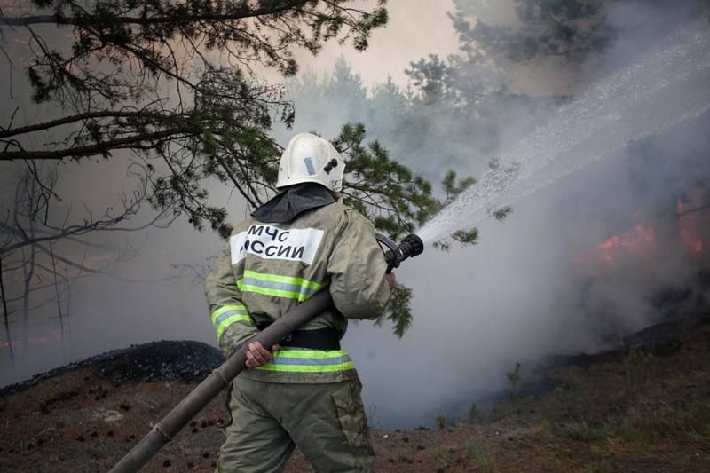 � ����� � ������� ���������� ��� ���������� ��������� ����