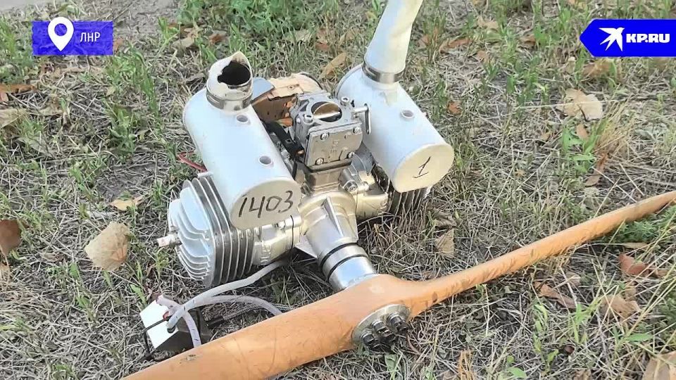 � �������� � ������� �����, 12 ���� ����� ����������� ���