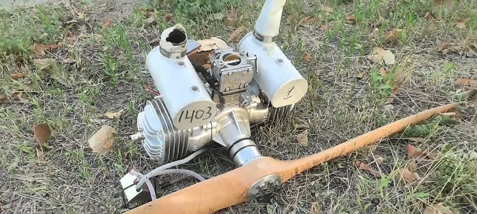 � �������� ���� ����� ���� ��� ����� ��������� �����������