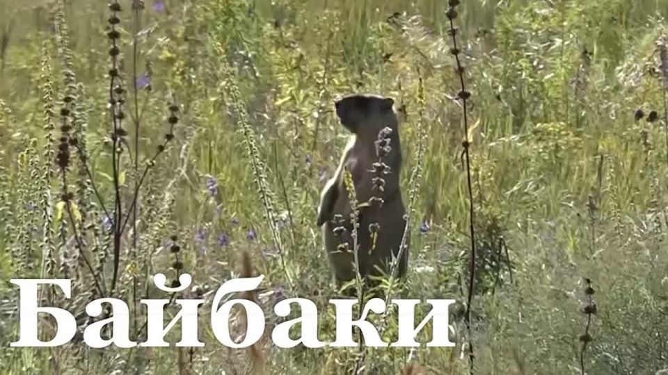 � ��� ��������� ��������� ������-��������!