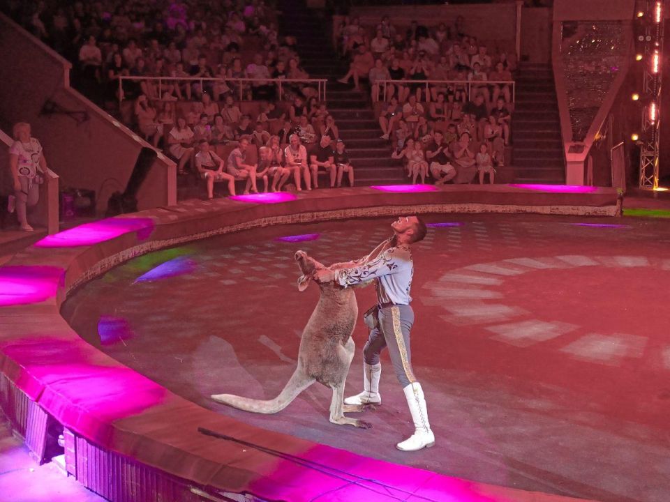 ��������� ��������������� ���� ������ ����� 200 ���