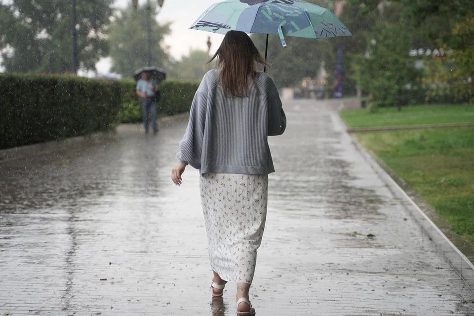 � ��� ������������ ����� � ����� 14 ����