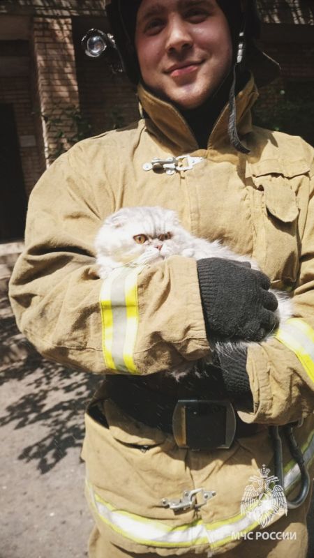 ���������� ��� ������ �� ������ � �������� 4 �������, 2 ����� � ������