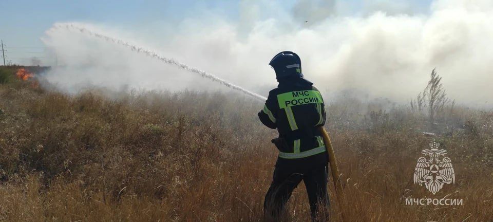 В ЛНР объявили экстренное предупреждение из-за чрезвычайной пожароопасности