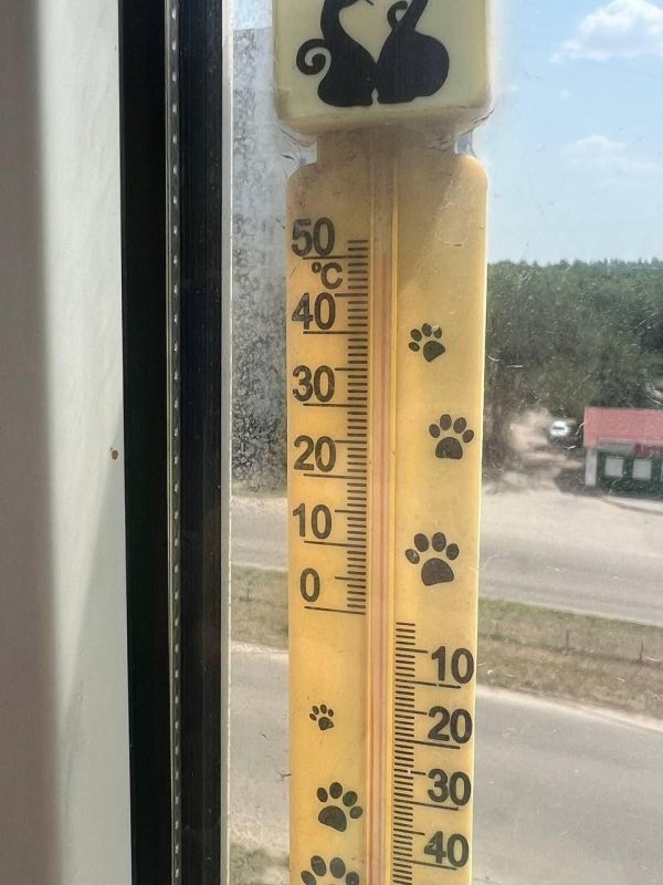 ��� ����� ������������� ���������� ������������ ������� ���� �� ����� ��������� � ��������