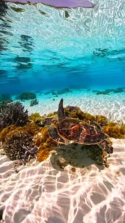 �� � ���� ���� �� ��� ����, ����� ������ ���� ������