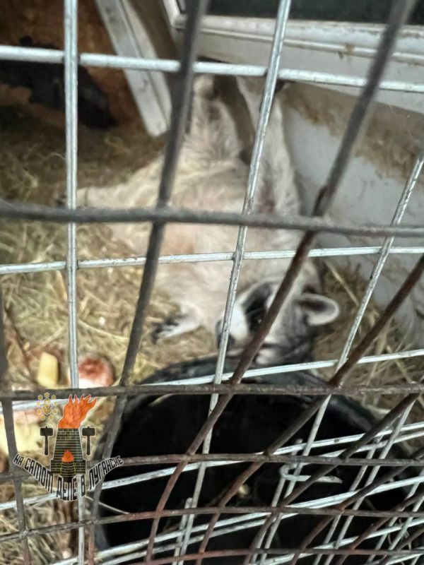 ������� ������� �������� � "�������"